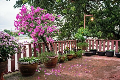 Athithara Homestay, Забронировать Отель Аюттхая провинция Аюттхая