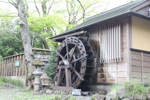 Hakone Guesthouse Toi, Забронировать Отель Отели Хаконе с завтраком, рядом с Chisuji Falls, Завтраки