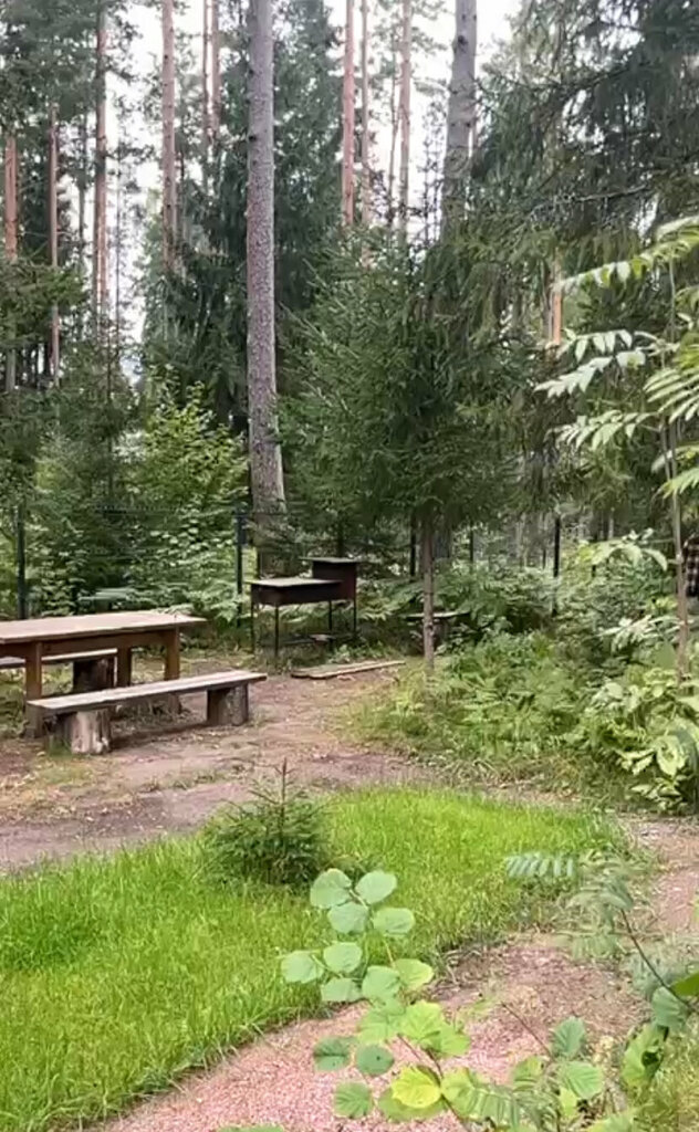 Домик в Лисичках