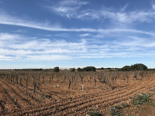 Hostal Rural Los Girasoles de iniesta, Book Hostel / Vandrerhjem Hoteller i Castilla-La Mancha med parkering, Parkering