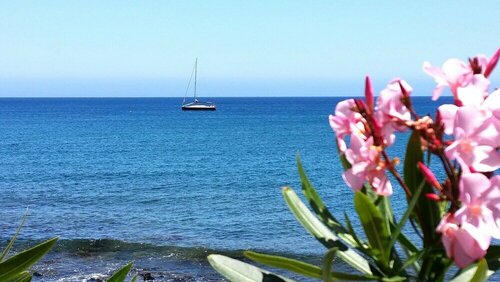 Loro Verde, Book Hotel San Bartolome 