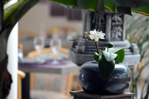 Au Sauvage, Reserva ahora Hotel Lorris Loiret