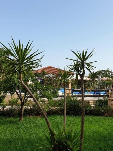 Daniel Hotel, Забронировать Отель Отели Каламакион с бассейном, рядом с Archelon, Бассейн