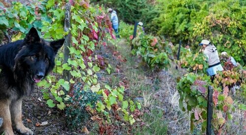 Quinta de Marrocos, Забронировать Отель Пезу-да-Регуа Северный регион