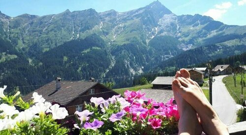 Gasthaus Alpina, Book Pension Tschappina Viamala