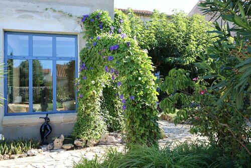Aux Pots Bleus, Book Pension Gæstehuse i Hérault, Pension