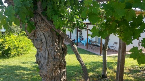 Il Giardino Fra Gli Ulivi, Book Hotel Hotels in Abruzzo with a Pool, Swimming Pool