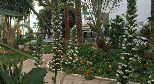 Hotel La Residence Hammamet, Buchen Sie Hotel Hammamet Nabeul Governorate