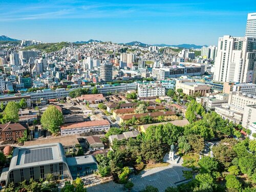 Nine Tree by Parnas Seoul Dongdaemun, Book Hotel Jung-Gu Seoul