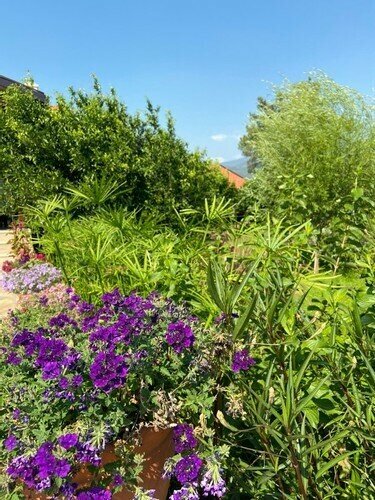 Mandarin Bed & Breakfast