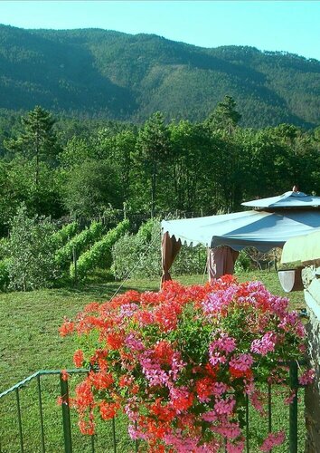 Sostio a Levante, Book Guesthouse Framura 