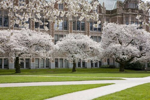 Silver Cloud Hotel - Seattle University of Washington District, Забронировать Отель Отели и гостиницы Сиэтла, рядом с Университетская унитарная церковь, Отель
