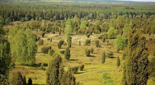 Landhotel Hof Barrl, Забронировать Отель Отели Шнефердинген с парковкой, Парковка