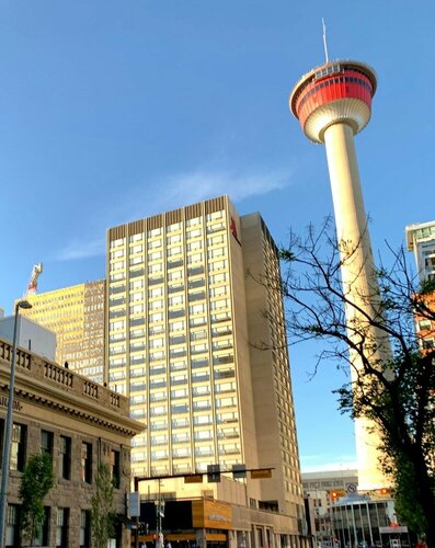 Calgary Marriott Downtown Hotel, Забронировать Отель Белтлайн всего Калгари, рядом с Башня Калгари