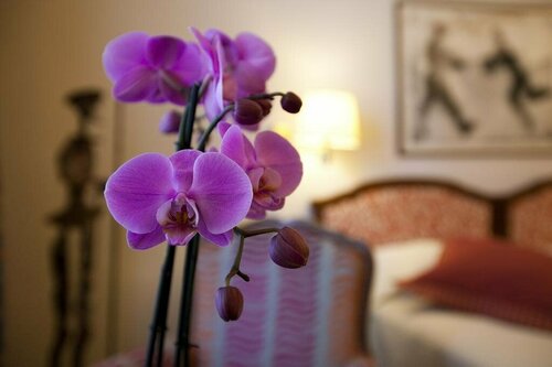 Hotel Victoria, Varaa Hotelli Lausanne Centre 