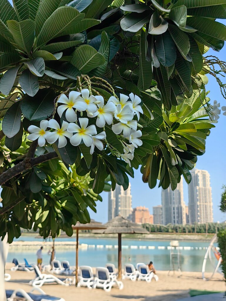 Grand Hyatt Doha Hotel & Villas