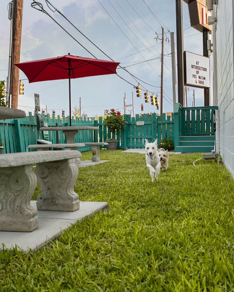 The Thunderbird Inn
