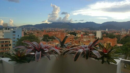 Terra Biohotel, Забронировать Отель Отели Медельин 4 звезды, рядом с Medellin General Hospital, 4*