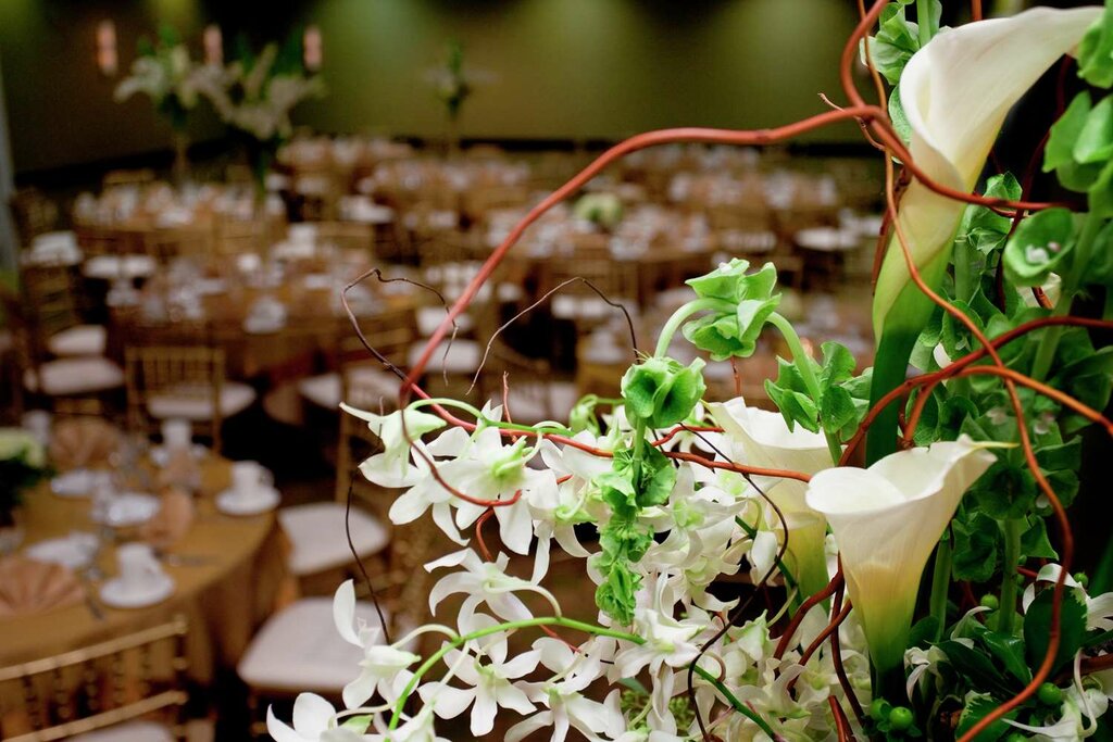 Hilton Garden Inn Seattle/Bothell