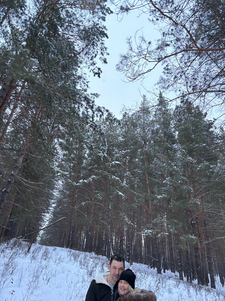 Сосны. Тут
