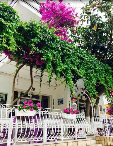 Agan Pansiyon, Rezervați Bed and Breakfast Bodrum Aegean Region