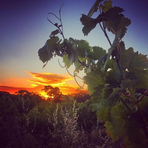 A Secret Garden, Забронировать Отель Отели Barossa Valley 3 звезды, 3*
