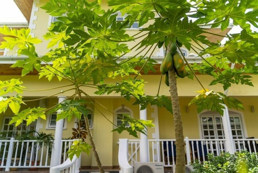 Captain's Villa