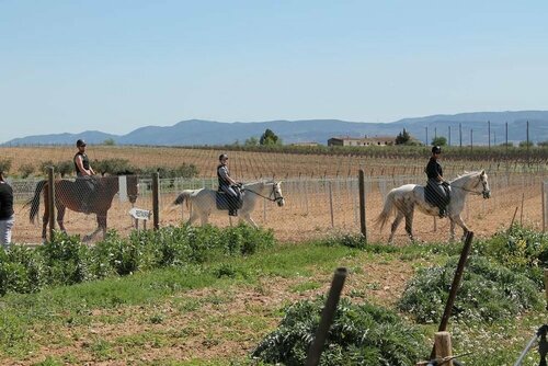 Cal Peret Parera, Prenota Hotel Font-Rubi L'Alt Penedès