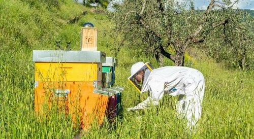 La Rimbecca Greve in Chianti, Book Hotel SPA-hoteller i Chianti, SPA