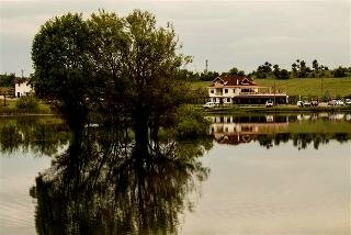 Gököz