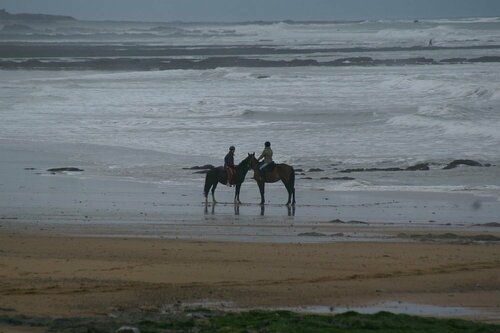 Chambres, studio et tables dhôtes La Chèvrerie proche Les Sables dOlonne, Réserver Hôtel Pays de la Loire 