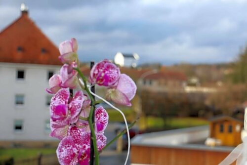 Gasthof Gruner Baum, Reserva ahora Hotel Bayreuth Alta Franconia