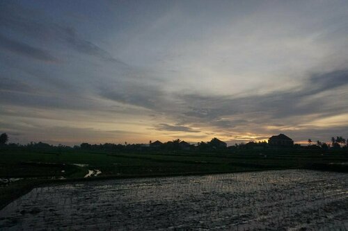 Pondok Uma Ubud, Забронировать Гостевой дом Недорогие отели Убуд, недорогие