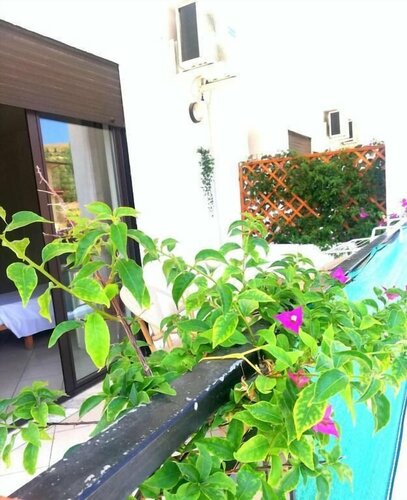 B&B Damiani, Забронировать Отель «постель и завтрак» Отели Cilento Coast с завтраком, Завтраки