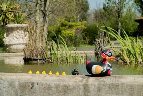 Best Western Plus Le Canard sur le Toit, Book Hotel Colomiers Haute-Garonne