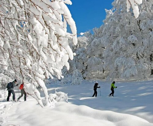Garnì B&B La Rua-Pescocostanzo, Забронировать Отель «постель и завтрак» Отели Abruzzo Ski с завтраком, Завтраки