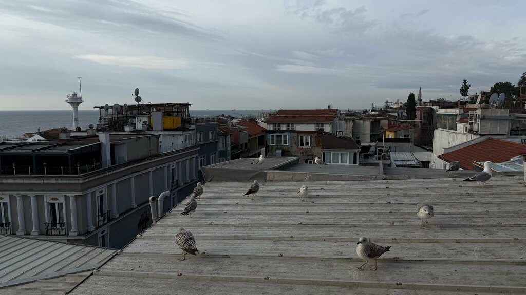 Perapolis Hotel