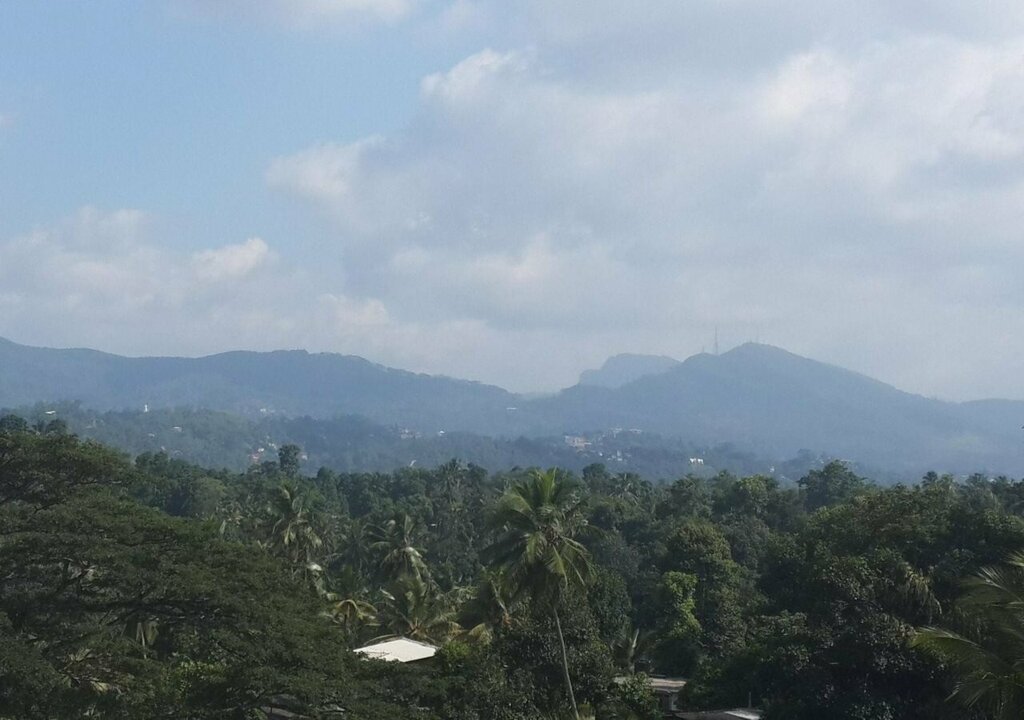 Nook In Kandy B&b