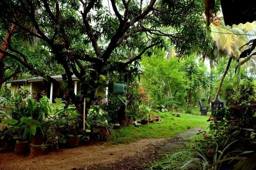 sigiriya green garden homestay, Забронировать Отель Отели Округа Галле с завтраком, Завтраки