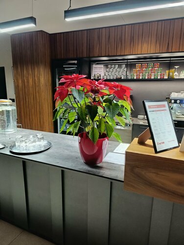 City Inn Hotel Olomouc, Забронировать Отель Оломоуц Haná