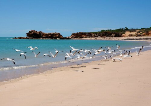 Blue Seas Resort, Buchen Sie Resort Cable Beach Kimberley