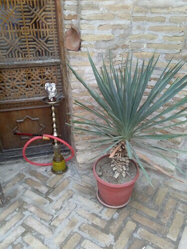 Mekhtar Accomodation
