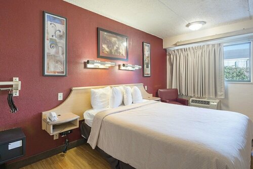 Red Roof Inn Tampa Busch, Rezerwuj Hotel Hotele w Tampa z basenem, Basen