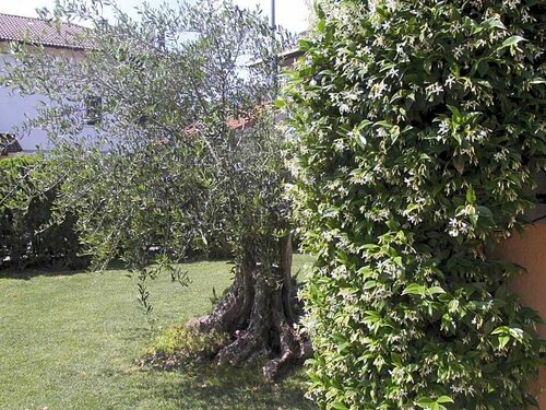B&b Diele