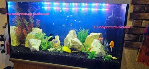Гостевой дом Тихая Гавань, Забронировать Гостевой дом Калининград Калининградская область