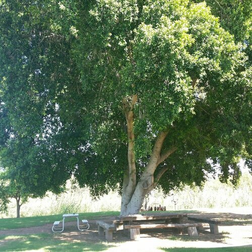 Leichhardt Accommodation, Забронировать Мини-отель Мотели Outback Queensland, Мотель