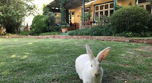 Highland Rose Country House Spa, Reservar Resort Dullstroom 
