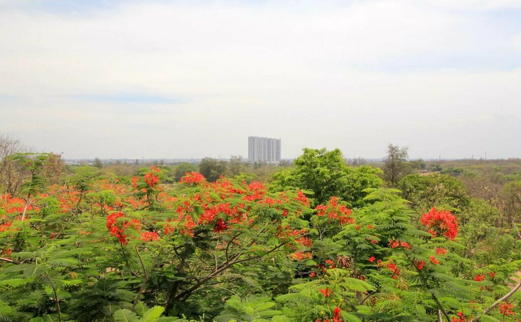 Super OYO Capital O 175 K-60 Residence