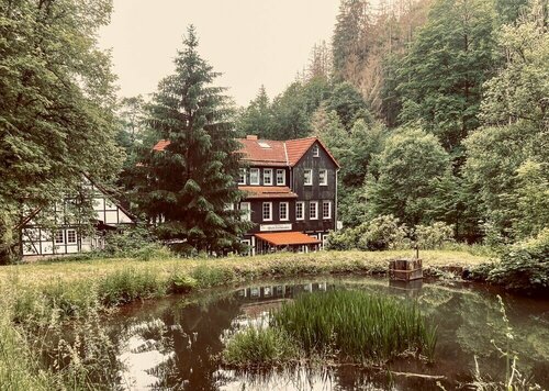 Waldhaus Wolfsbachmühle, Rezervasyon Otel Braunlage Ski oteller ve konaklama yerleri, Otel