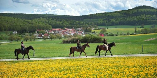 Landhotel Zur Grünen Kutte, Réserver Hôtel Dermbach Rhön